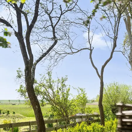 Alte Schule Kleinhoern Appartement