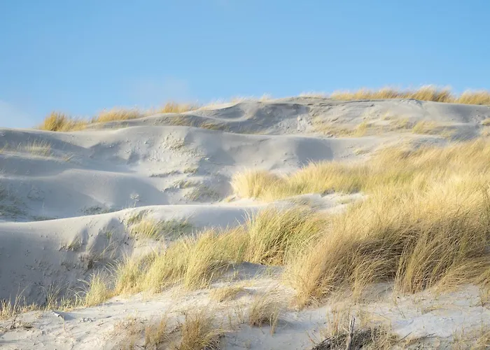 Alte Schule Kleinhoern Апартаменты